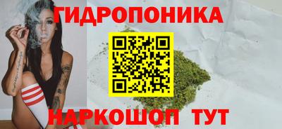 амф Моздок