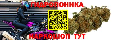 амф Моздок