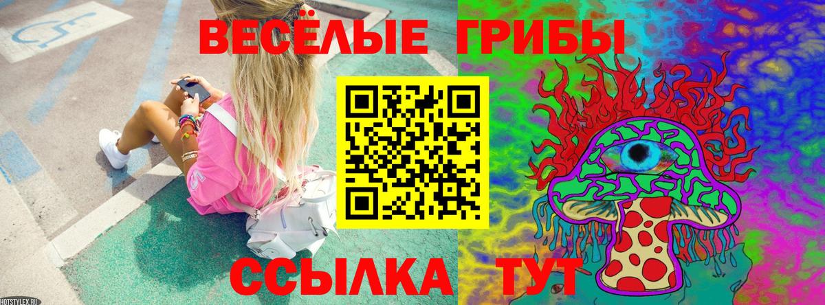 Галлюциногенные грибы Psilocybine cubensis  Псилоцибиновые грибы Cubensis  Урюпинск  Вход с VPN 